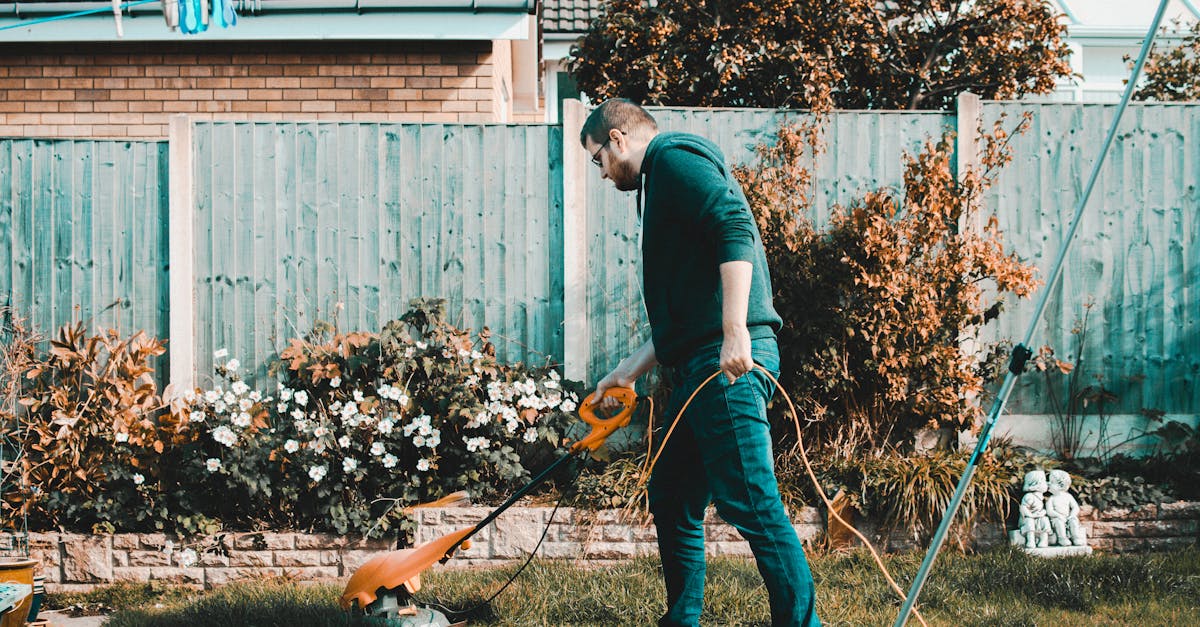 Are professional window cleaners worth it?